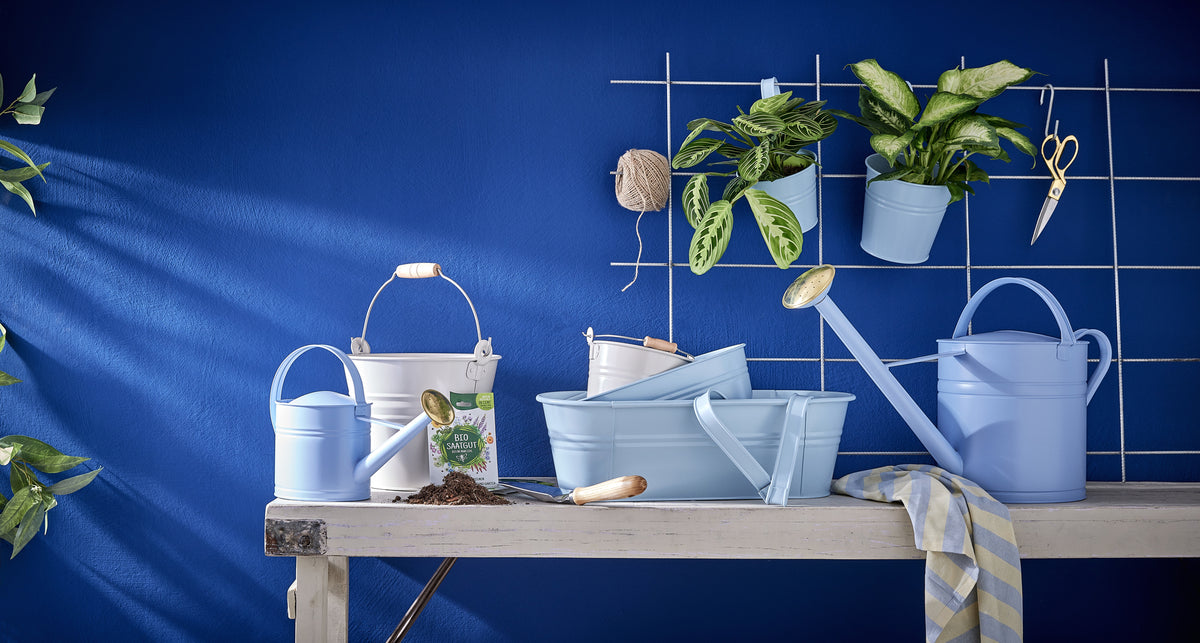 Blaue Zink-Gießkannen, weißer Metalleimer und Pflanztöpfe aus der ZINC-Serie auf einem Holztisch vor blauer Wand mit Bio-Saatgut und Gartenkräutern.